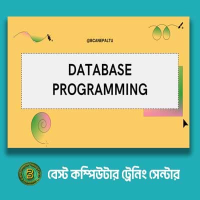 ডাটাবেজ প্রোগ্রামিং